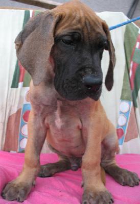 Jamiroquai Vom Regenbogental