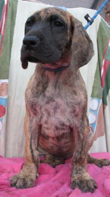 Jule Vom Regenbogental