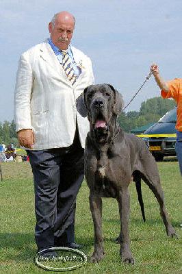 Ch Vahi Du Mas De Majouliere