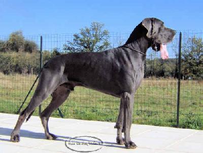 Ch Vahi Du Mas De Majouliere