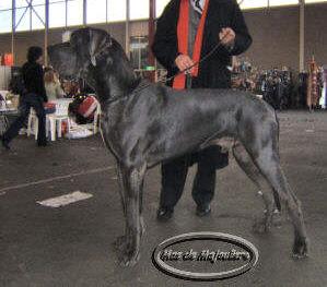 Ch Vahi Du Mas De Majouliere