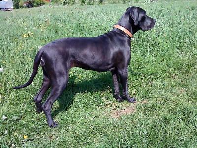 Kriemhild Vom Regenbogental