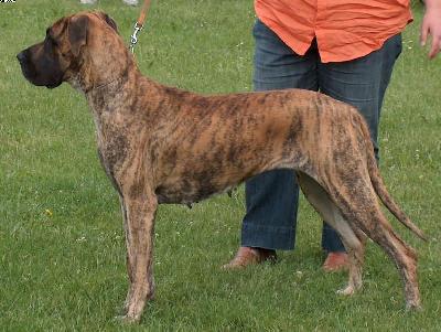 Kiara Vom Regenbogental