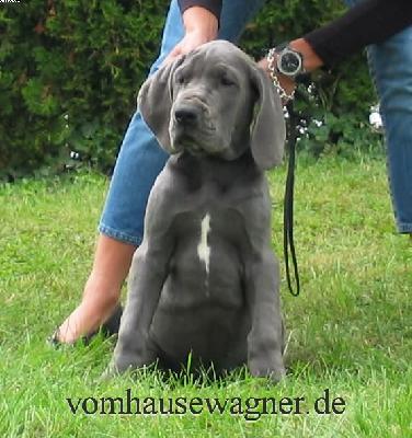 Ranula Vom Hause Wagner