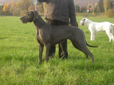 Antalia Vom Clasberg