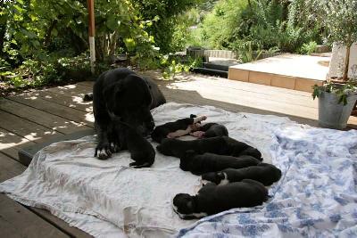 Grda2008072603 Vom Teuchelwald