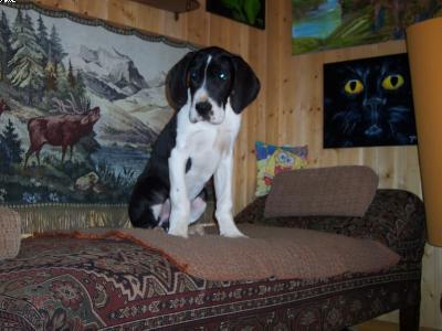 Taifun-thoralf Vom W�chterberg