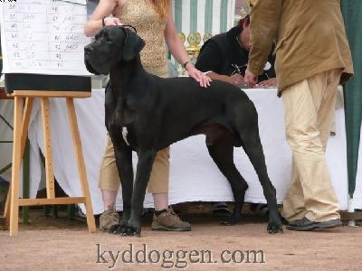 Quintus Von Der Porta Romana