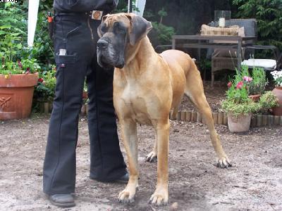 Esprit Della Rupe Del Basso