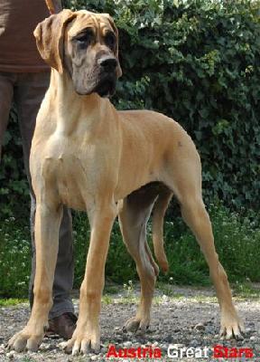 Ch Caramello Des Terres De La Rairie