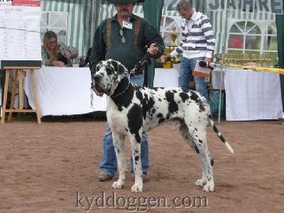 Autumn-ajron Du Temple Sackre D�heliose