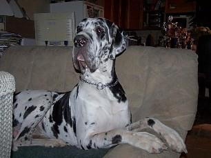 Autumn-ajron Du Temple Sackre D�heliose