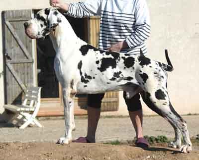 Verax Des Habits Rouge