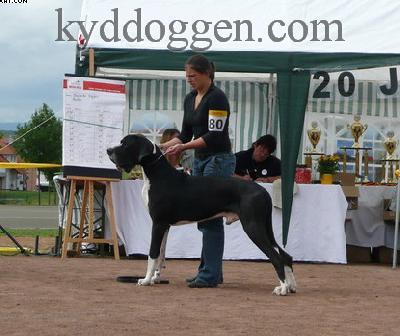 Ank Des Geants Du Bocage