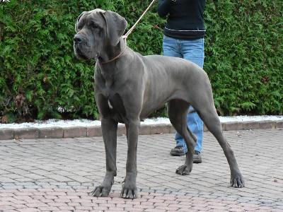 Cherkahn Des Terres De La Rairie