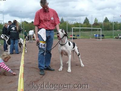 Baraka-girl Des Terres De La Rairie