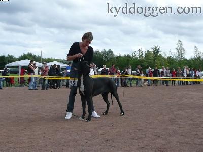 Caprice De Star Des Habits Rouge