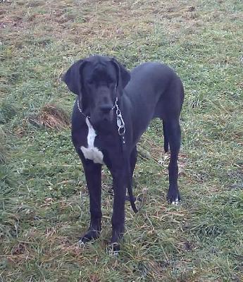 Estefania From Valvasor�s Land