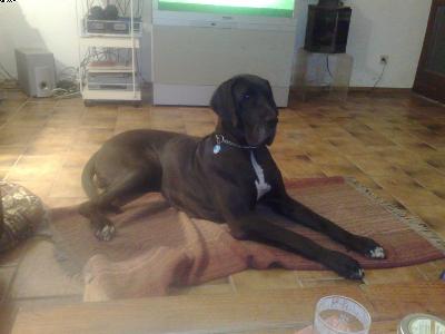 Estefania From Valvasor�s Land