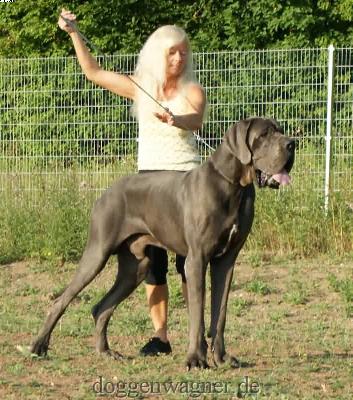 Santana Vom Hause Wagner