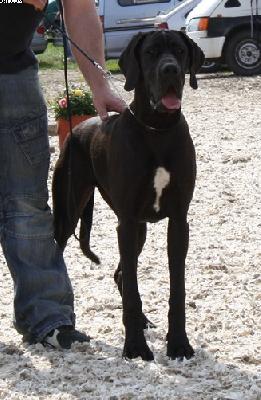 Balea Von Den Elf Quellen