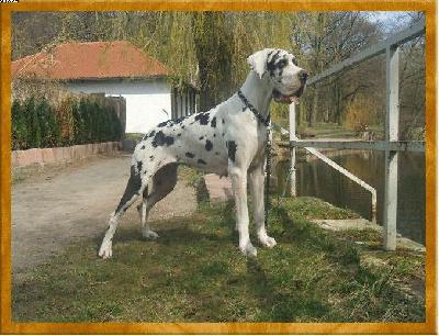 Odyssea Von Eichgrund