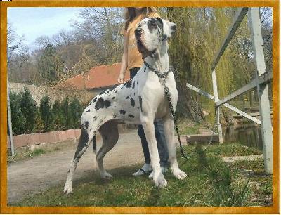 Odyssea Von Eichgrund