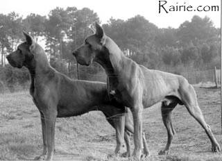 Fumee De La Chatellerie