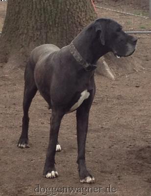 Moni Von Der Stadt Lneburg