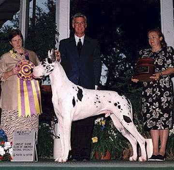 Architect Of Jericho