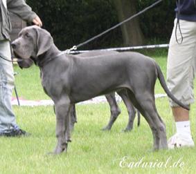 Zirkonia Vom Hause Wagner