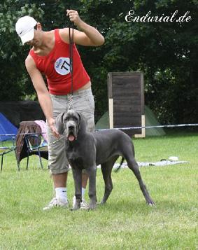 Zirkonia Vom Hause Wagner