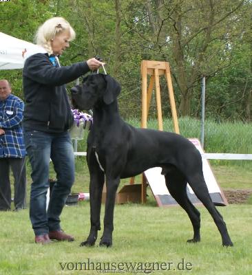 Ch Abano Vom Hause Wagner