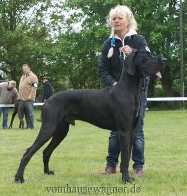 Ch Abano Vom Hause Wagner