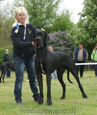 Ch Abano Vom Hause Wagner