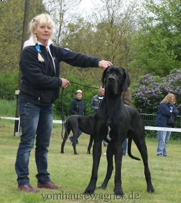 Ch Abano Vom Hause Wagner