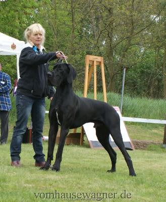 Ch Abano Vom Hause Wagner