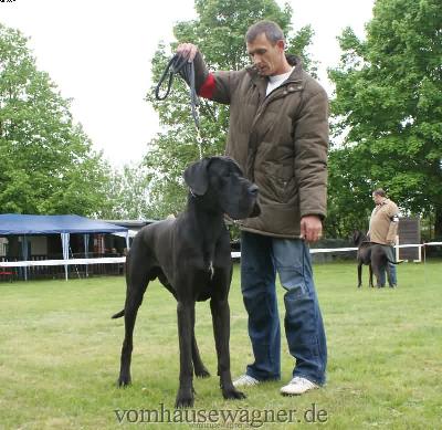 Aiakos Vom Hause Wagner