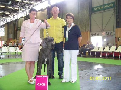 Ch Ava Vom Hause Wagner