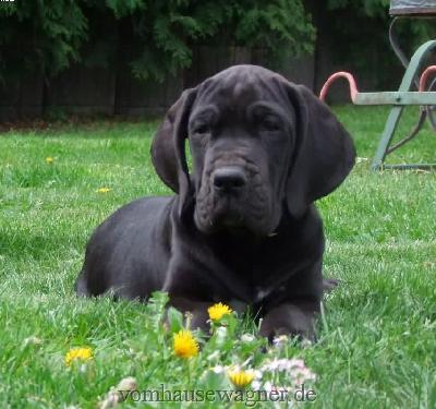 Badajoz Vom Hause Wagner