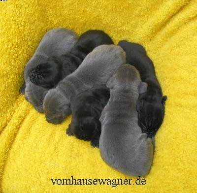 Badajoz Vom Hause Wagner