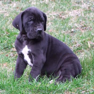 Badajoz Vom Hause Wagner