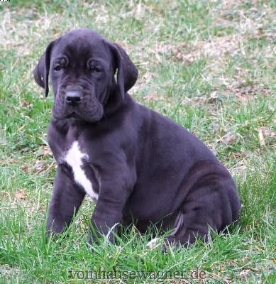 Badajoz Vom Hause Wagner