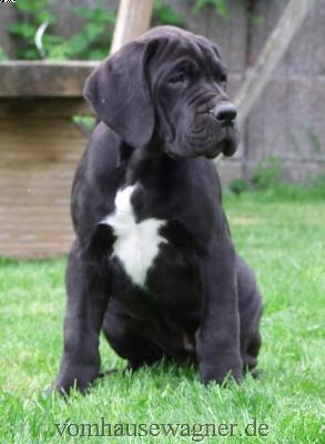 Badajoz Vom Hause Wagner