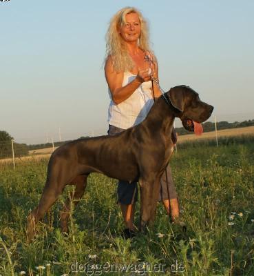 Ch Coquine Vom Hause Wagner