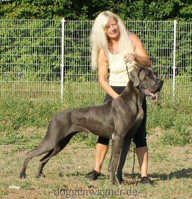 Ch Coquine Vom Hause Wagner