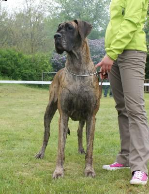 India De La Cala Del Leone