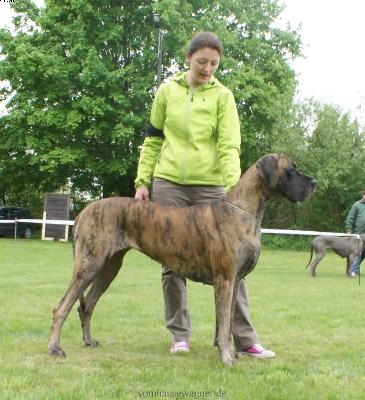 India De La Cala Del Leone