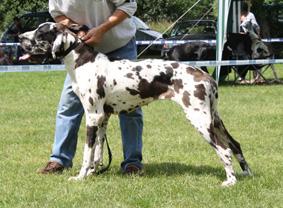 Djerba De La Grisonniere