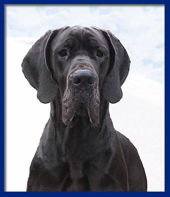 Rosemari-n Della Baia Azzurra